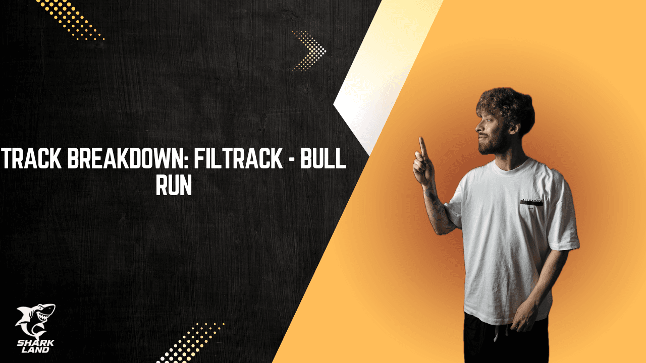 Track Breakdown: Filtrack - Bull Run