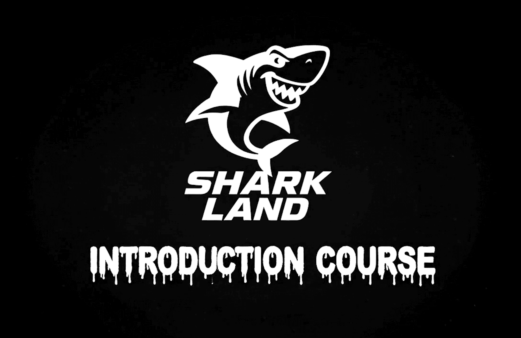 Ableton Introduction Course