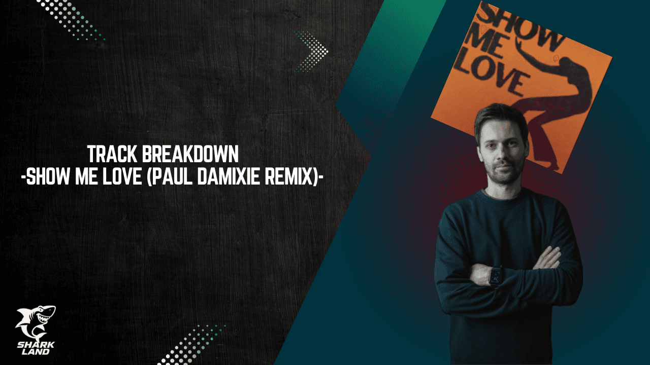 Track Breakdown: Show Me Love (Paul Damixie Remix)